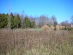 03_wvThanksgiving_11.06