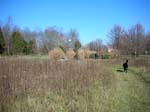 04_wvThanksgiving_11.06