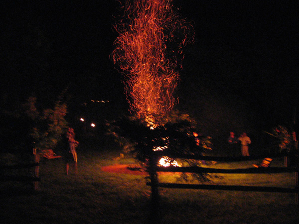 Firepit 1