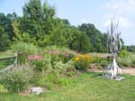Pond 2