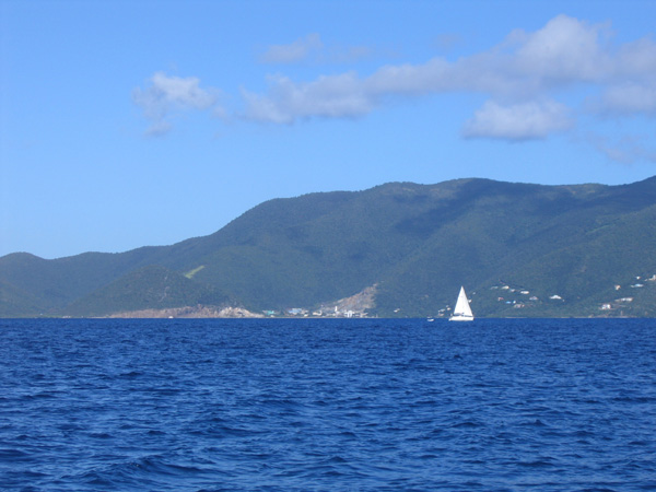 Tortolla 2