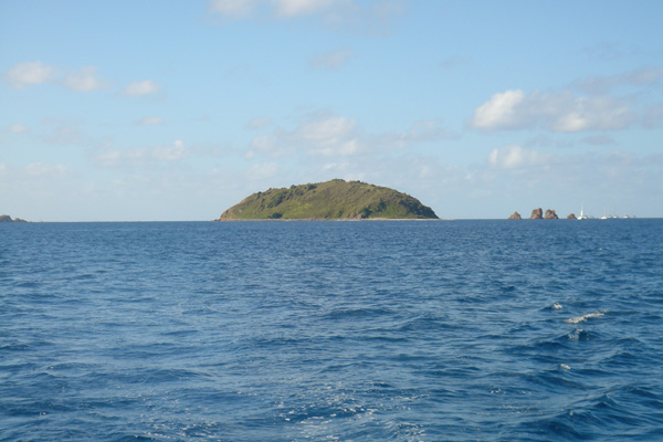 View 1