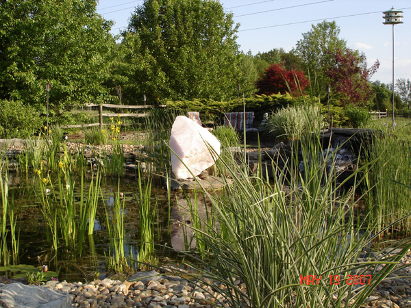 Pond 1