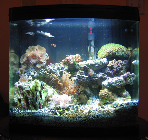 Marine tank 4