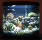 Marine tank 4