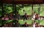 In the Gazebo