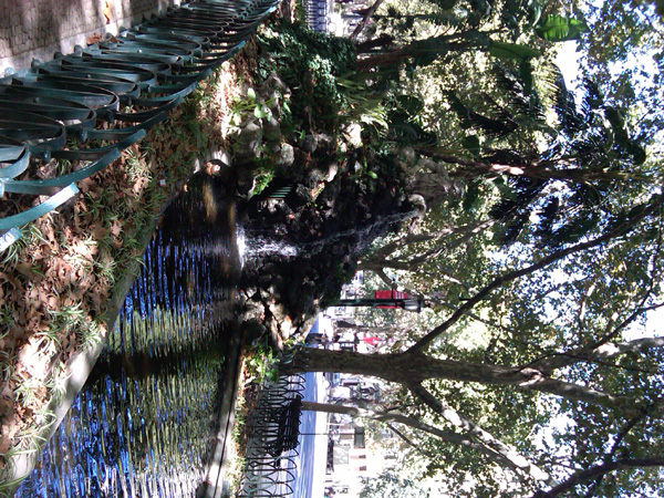 IMG00003-20101001-0856