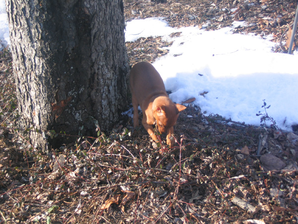Spike January 2010