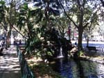 IMG00002-20101001-0855