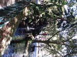 IMG00003-20101001-0856