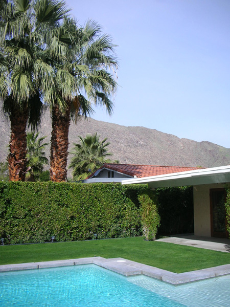 PS pool and view 032010