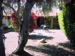 PS courtyard 042010
