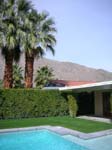PS pool and view 032010