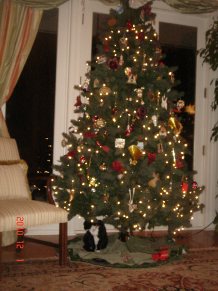 2010 Xmas 1.jpg