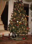 2010 Xmas 1.jpg