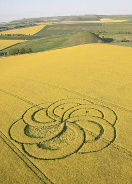 rex_crop_circles_petal_nt_110801_ssv