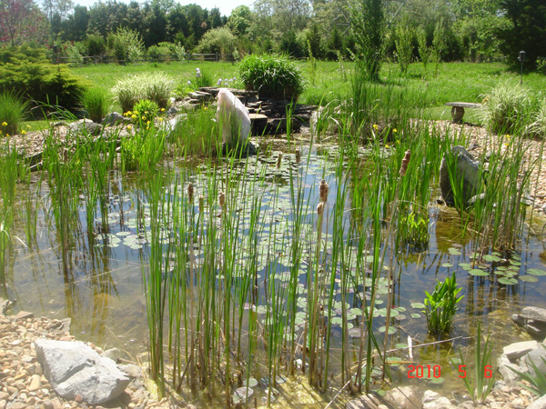 4   Pond2