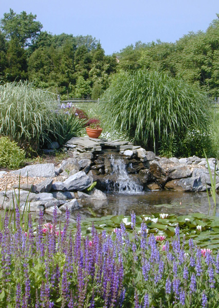 Big Pond 3