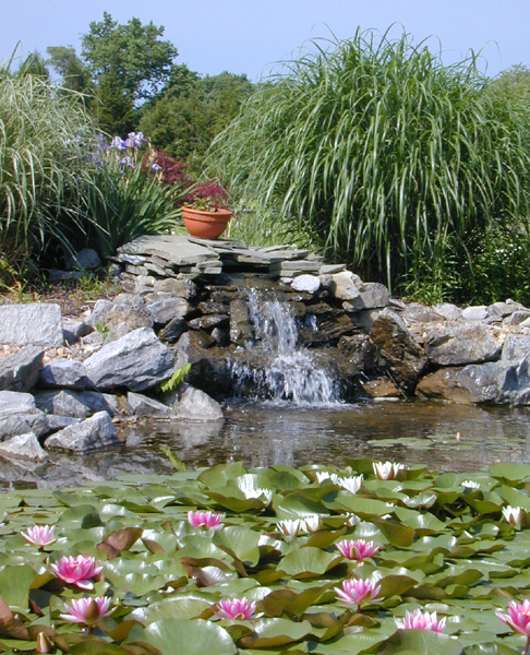 Big pond 1