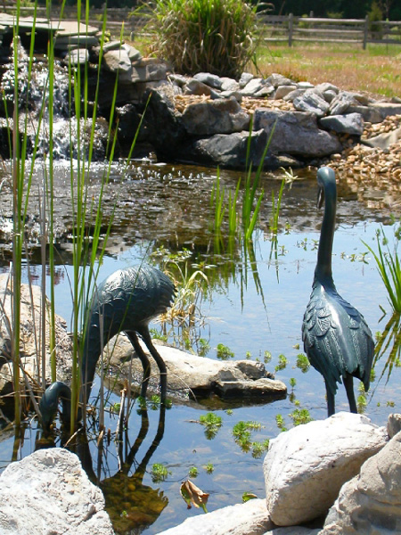 Cranes