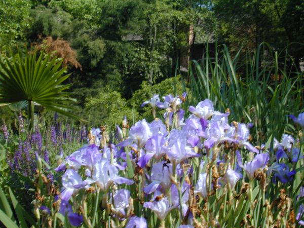 Crescent bed 1