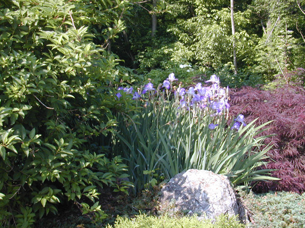 Driveway 3_28