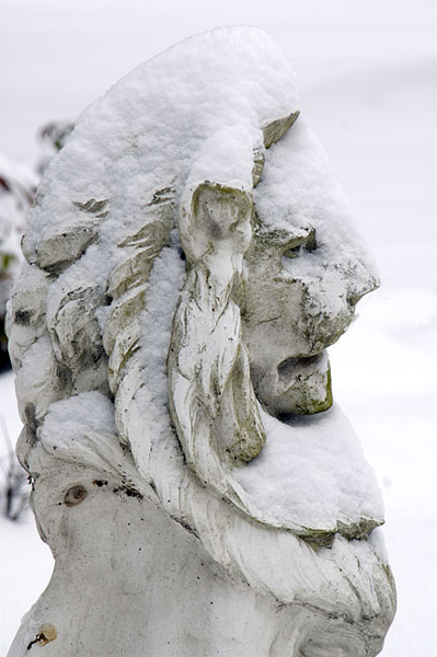 Entry Lion in Winter