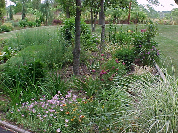 Front Beds 2_54