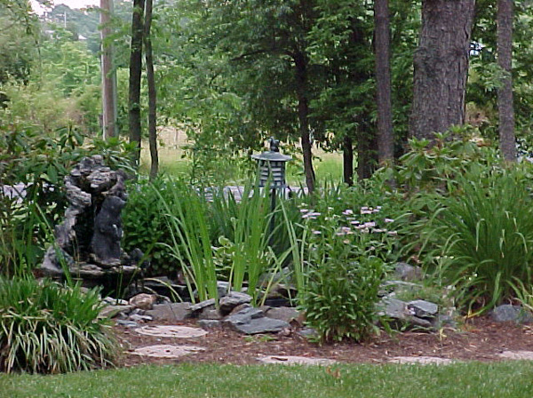 Front Pond 1