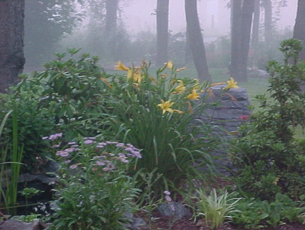 Misty Bed