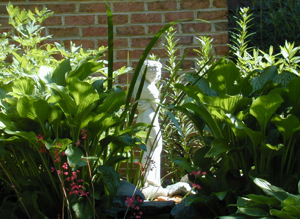 New Outdoor 6_96