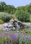 Big Pond 3