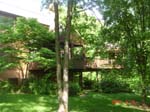 C Back of house