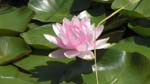 CIMG0597