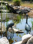 Cranes