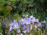 Crescent bed 1