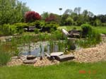 D Pond1
