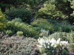 Driveway 2_27