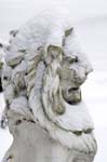 Entry Lion in Winter