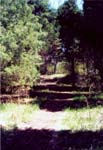 From the barn_50