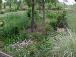 Front Beds 2_54