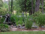 Front Pond 1