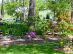 Front Pond_55