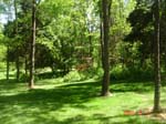 G garden2