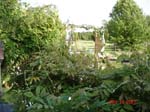 Gazebo 1