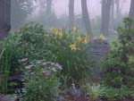Misty Bed
