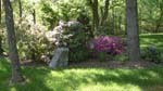 Mothers Day 2009 Front Fountain