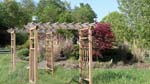 Mothers Day 2009 Rear arbors