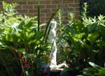 New Outdoor 6_96