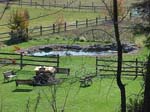 Pond before construction_100